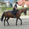 Babie Lato 2016
